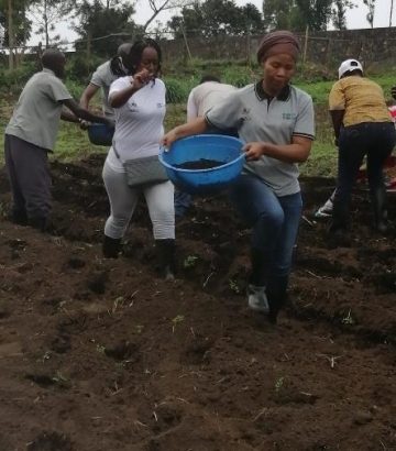 Restoration of the Camayenne Botanical Garden, Biodiversity Preservation, Conservation of Endangered Species and Creation of Activities by and for Women
