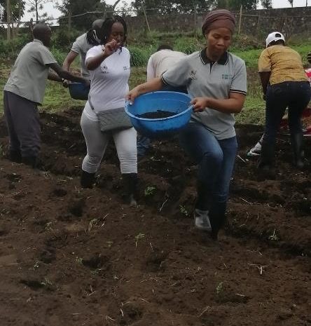 Restoration of the Camayenne Botanical Garden, Biodiversity Preservation, Conservation of Endangered Species and Creation of Activities by and for Women