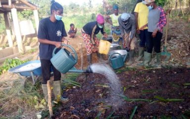 Agroecology to improve women’s living conditions and combat deforestation