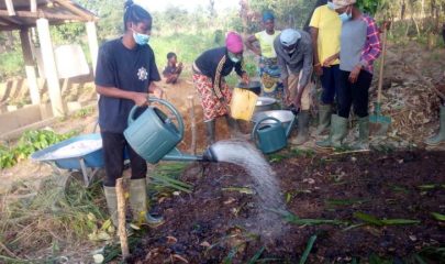 6 new projects supported by the Foundation in the framework of the Women & Environment program