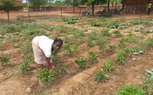 Formation de Femmes à l’Agroécologie et Sensibilisation à l’Agriculture Urbaine