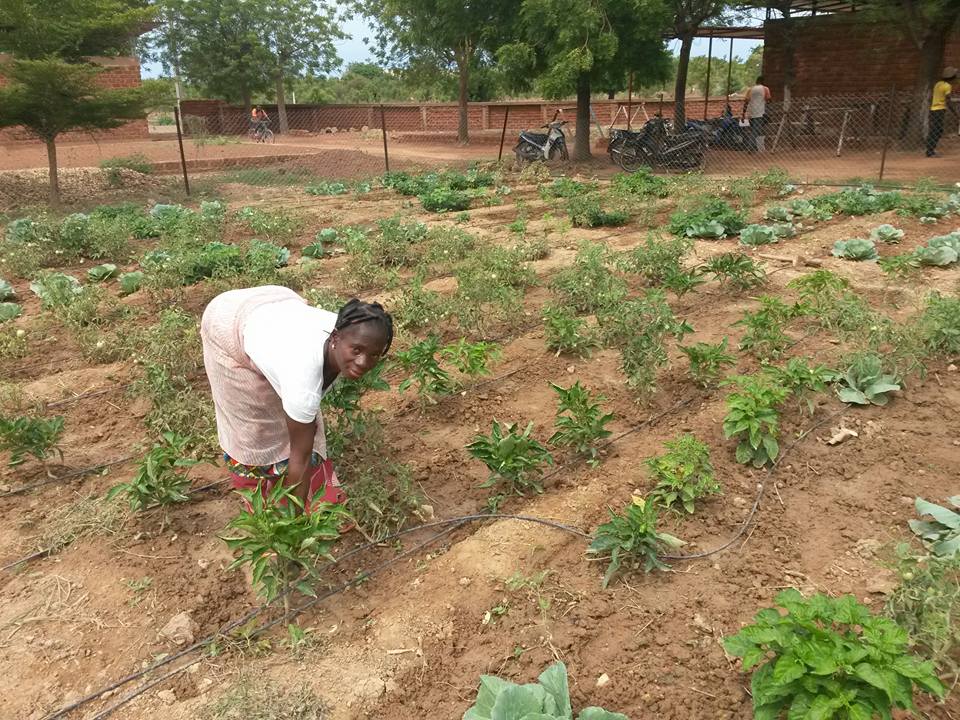 Training Women in Agroecology and Raising Awareness on Urban Agriculture