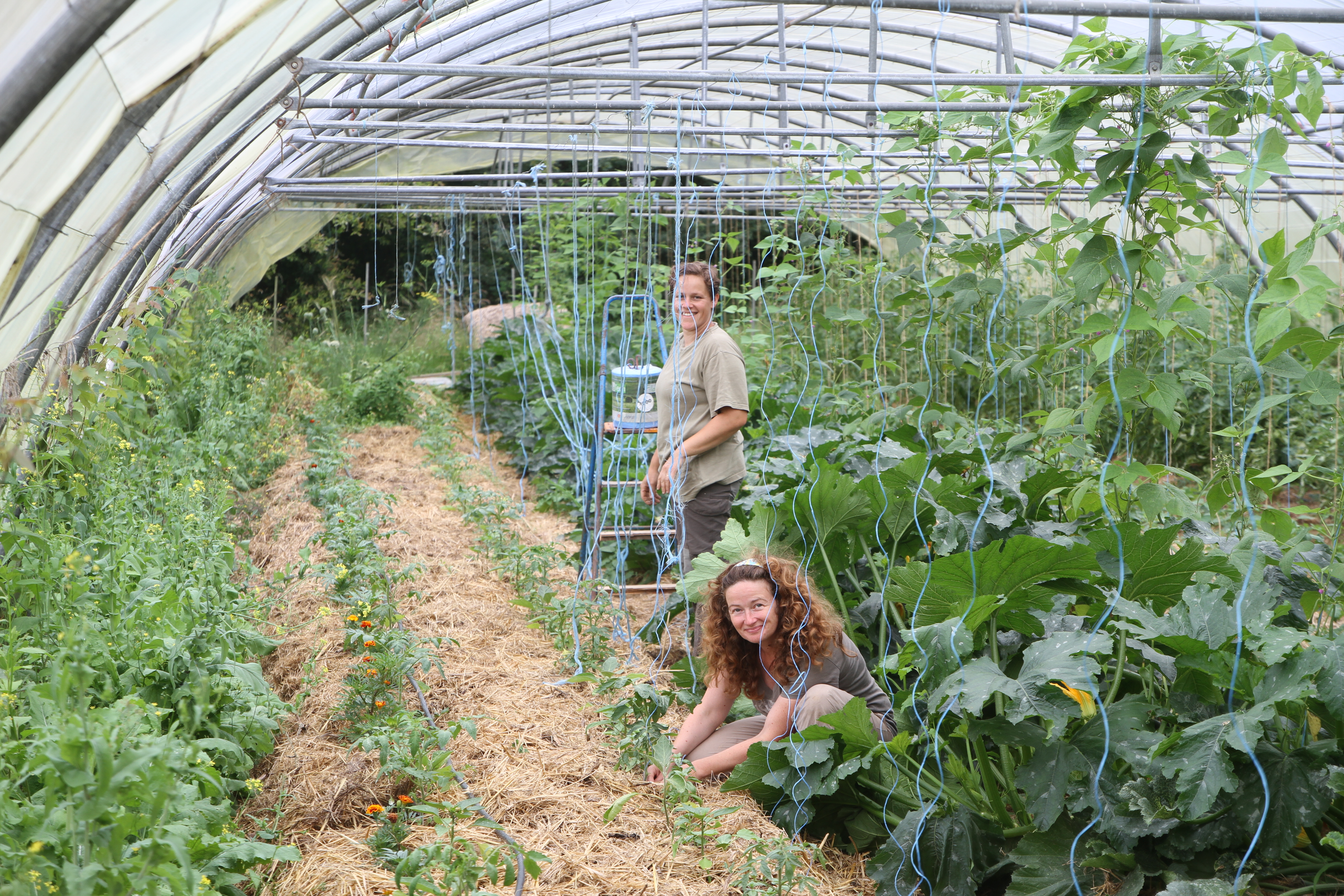 Supporting Women’s Empowerment in the Agroecological Transition