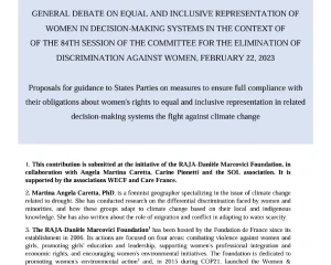 CEDAW Contribution – Women & Climate