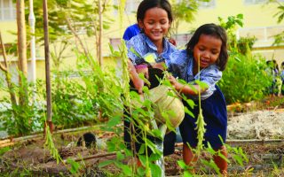 Toutes à l’école : instruire les filles et sauver le climat au Cambodge