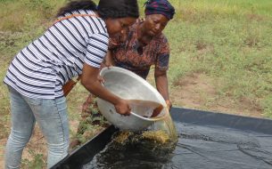 Formation des femmes productrices de sel à l’écoproduction