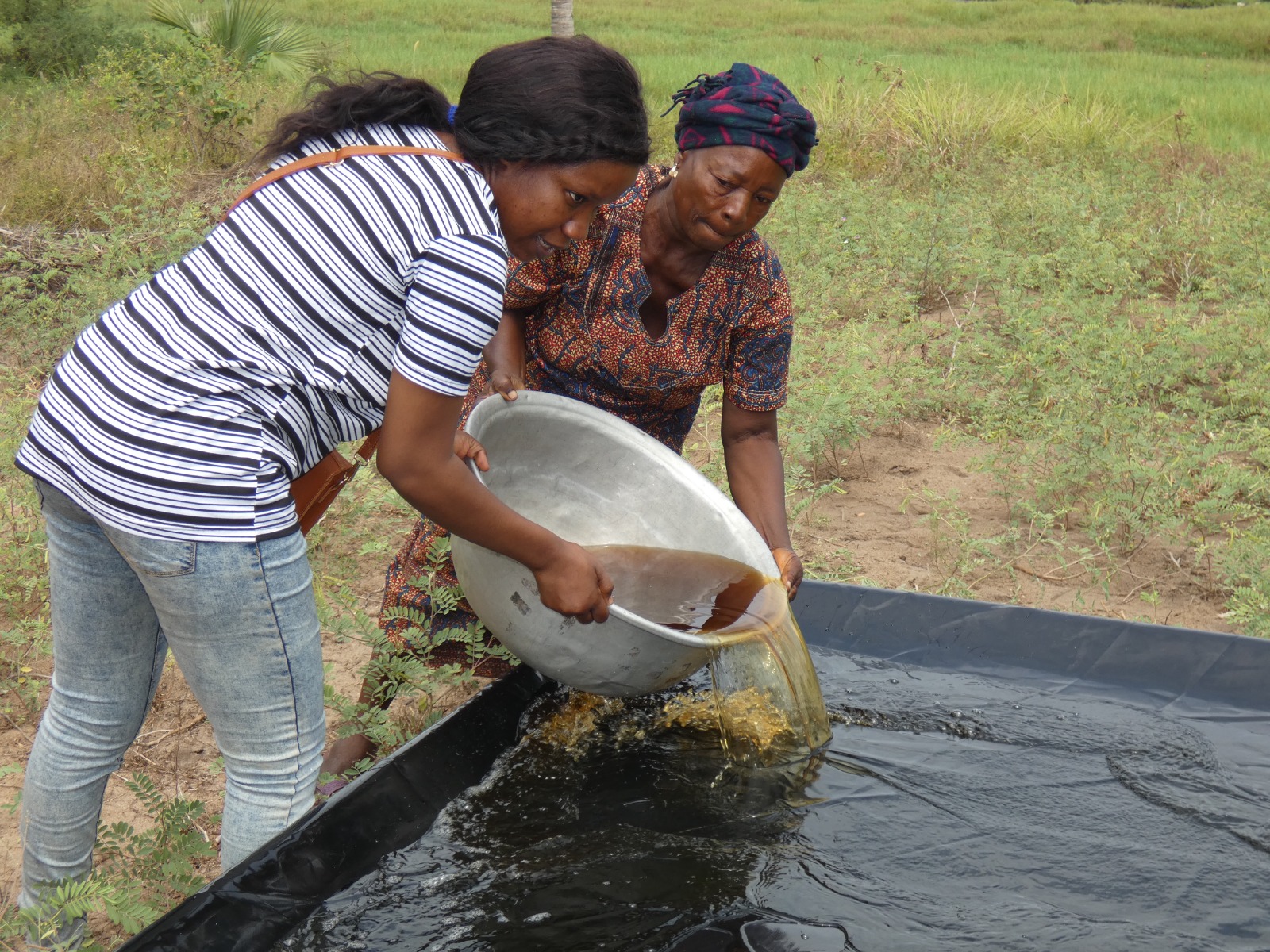 Formation des femmes productrices de sel à l’écoproduction