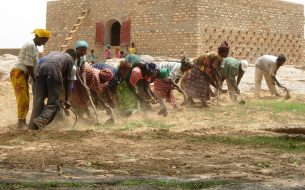 Créer des espaces de stockage en voûte nubienne pour les productrices d’oignons et d’échalotes au Sahel, utilisant des matériaux locaux et abordables.
