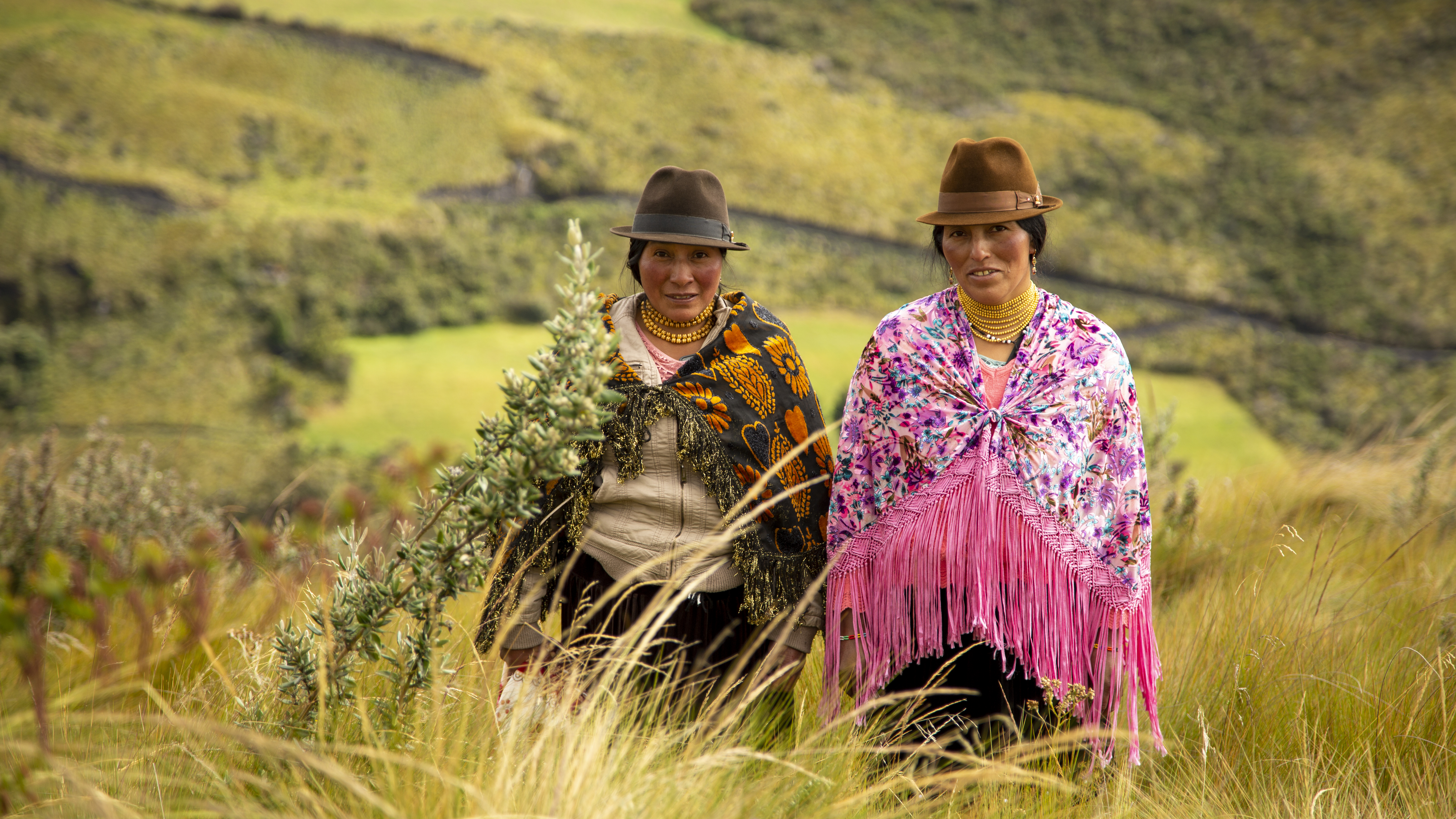 Programme Femmes & Environnement : 12 nouveaux projets soutenus