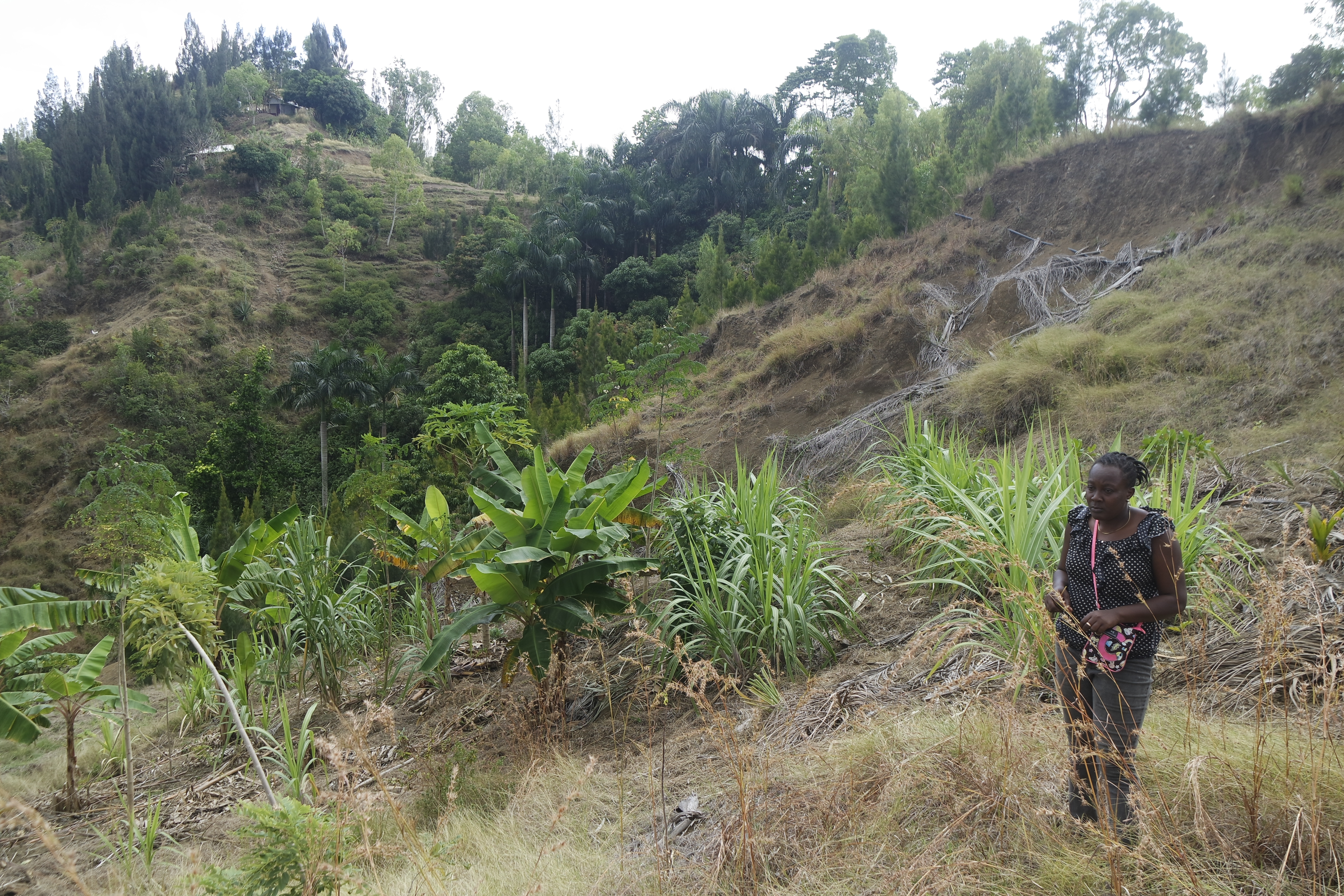 Renforcer l’action féministe en écologie et lutte contre la violence de genre.
