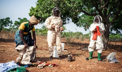 Developing beekeeping to strengthen women’s economic autonomy in Casamance