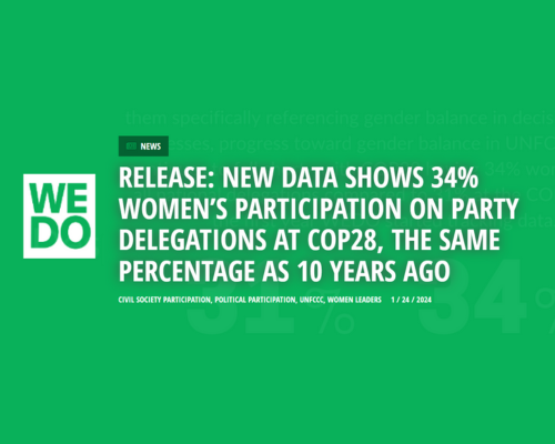 Underrepresentation of women in decision-making on climate and environmental issues within international bodies (WEDO)