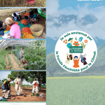 Flyer 2024 – Fonds Féministe pour le Climat