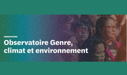 Launch of the Gender, Climate and Environment Observatory: Highlighting Women’s Mobilization Against Climate Change