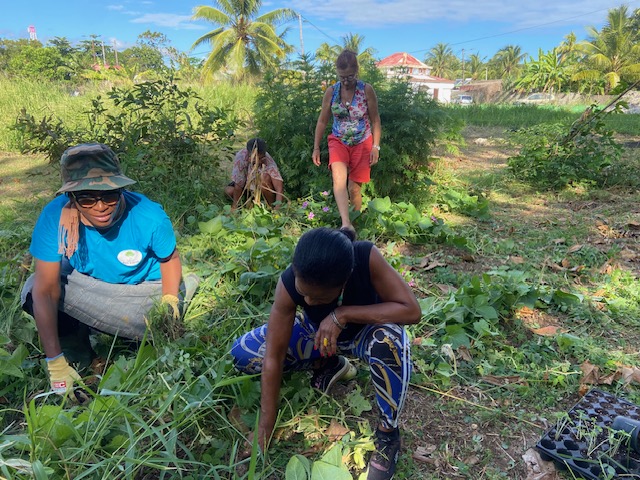 Passing on the Ecological Knowledge of Women from Overseas Territories