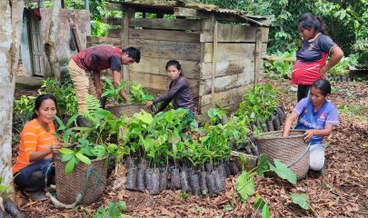 Promoting the Economic Empowerment of Kichwa Women through Sustainable Agroforestry