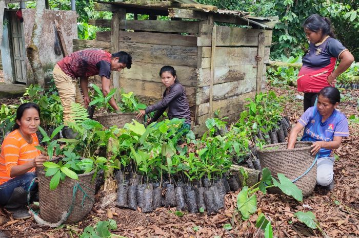 Promoting the Economic Empowerment of Kichwa Women through Sustainable Agroforestry