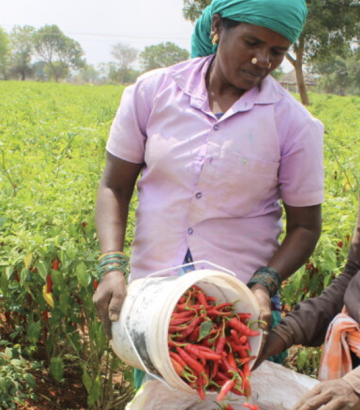 Promoting the economic autonomy of rural women in Tamil Nadu through sustainable agriculture