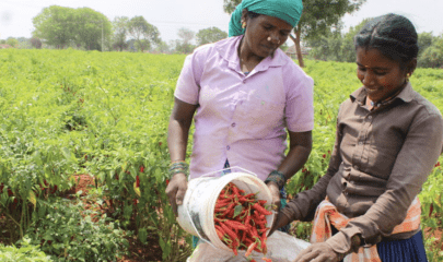 Promoting the economic autonomy of rural women in Tamil Nadu through sustainable agriculture