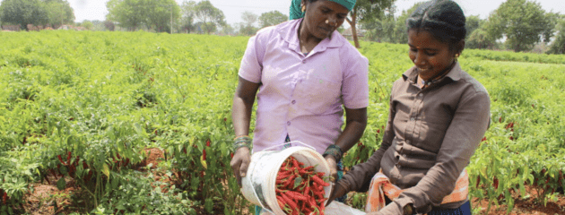 Operational projects