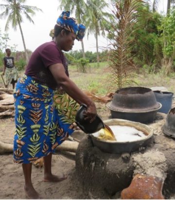 Formation des femmes productrices de sel à l’écoproduction