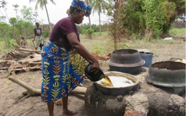Formation des femmes productrices de sel à l’écoproduction