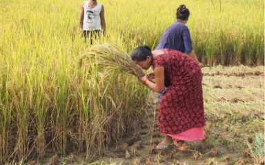 Promouvoir l’autonomie des femmes entrepreneures par la vente de systèmes de pompage solaire pour l’agriculture